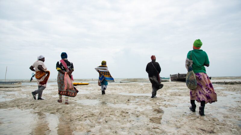 Meet The Underwater Sea Sponge Farmers Of Zanzibar – Publicist Recorder
