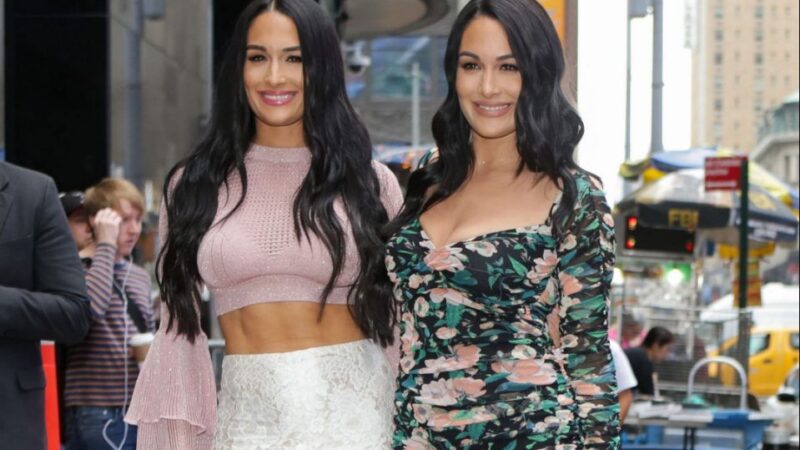 Nikki & Brie Bella Share Photo of Their Babies’ Sneaky Pandemic Meeting – Yahoo Lifestyle