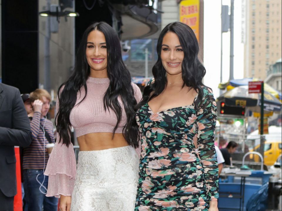 Nikki & Brie Bella Share Photo of Their Babies’ Sneaky Pandemic Meeting – Yahoo Lifestyle