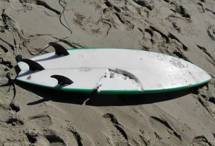 Pacifica surfers have close encounter with great white shark – San Francisco Chronicle