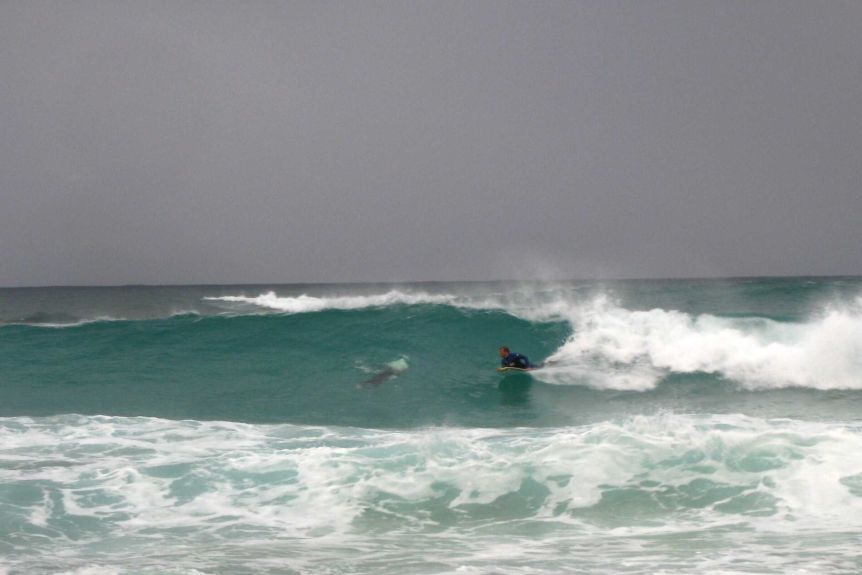 Kyle Burden rides a wave on a bodyboard under a dark grey sky.