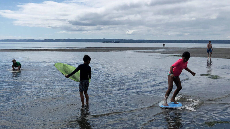 Skimming the shoreline – South Whidbey Record