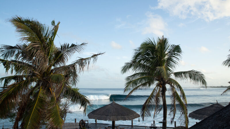 Stranded in the Maldives During COVID-19 – Surfline.com Surf News