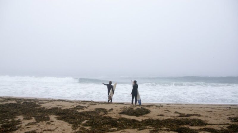 Surfers Learn How To Plan For Uncertainty. It’s A Good Lesson For Life During A Pandemic – WBUR