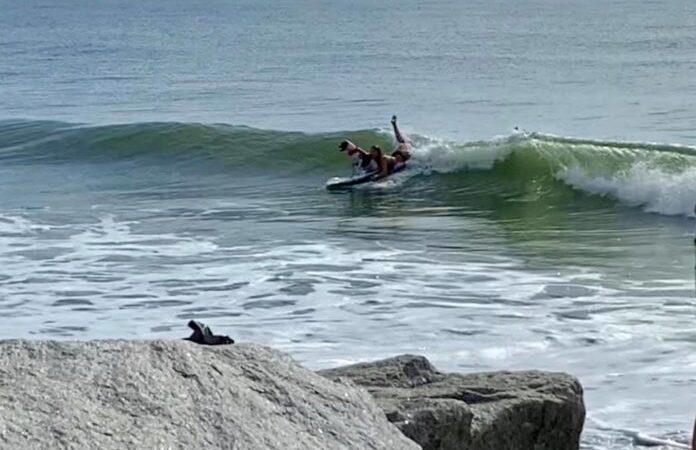 Surfing dogs raises more than $1K for Carolina Beach Ocean Rescue – WWAY NewsChannel 3