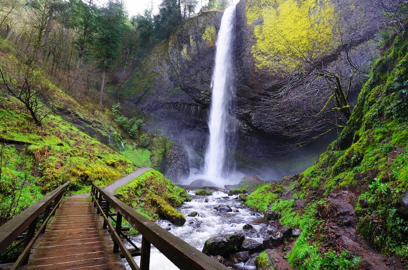 Latourell Falls along the Columbia River Gorge.