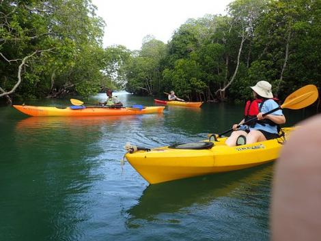 Kayaking by the mangrove forest in Lamu County