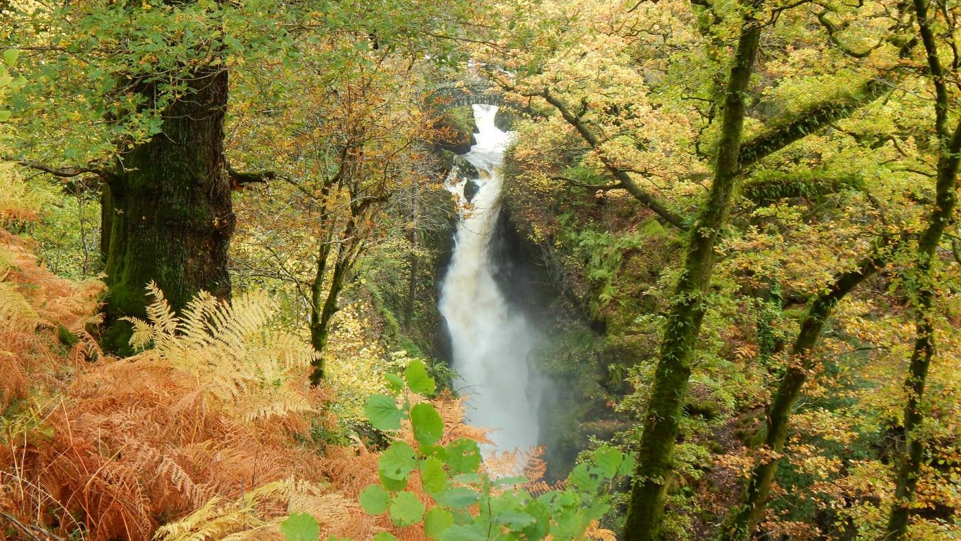 If hiking's more your scene, trek up to the 65ft Aira Force Waterfall in the Cumbrian countryside