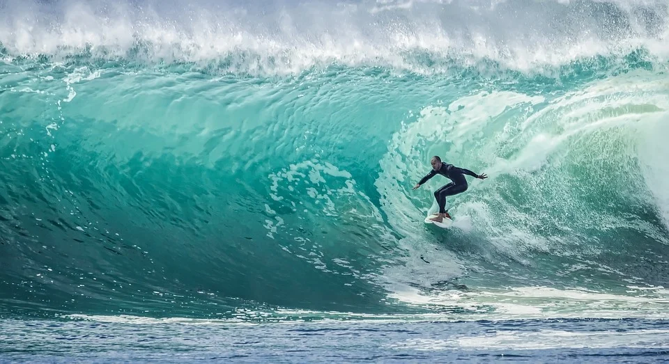 How to Surf Like a Pro – The Seeker