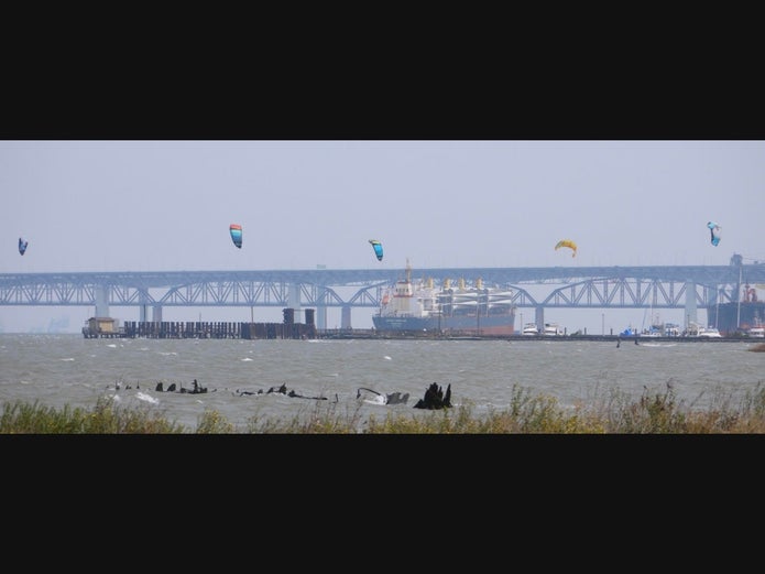 Kiteboarding on San Francisco Bay, off Alameda, Calif.