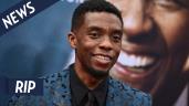 Chadwick Boseman wearing a suit and tie