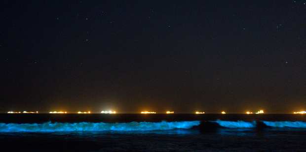 Rare bioluminescent, glowing waves show up off Huntington, Sunset and South Bay – OCRegister