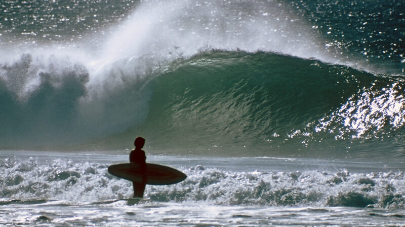 Coming This Weekend: “A Sea For Yourself” – Surfline.com Surf News