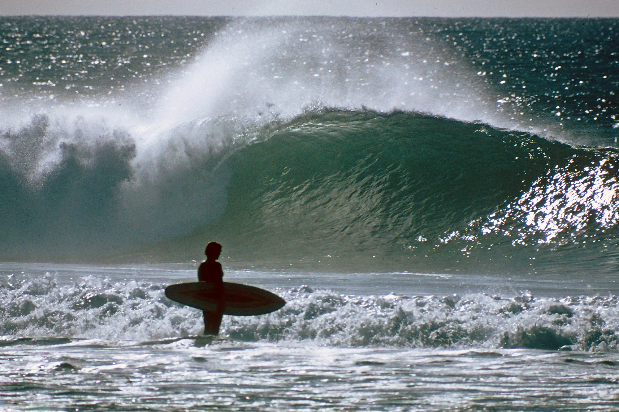 Coming This Weekend: “A Sea For Yourself” – Surfline.com Surf News