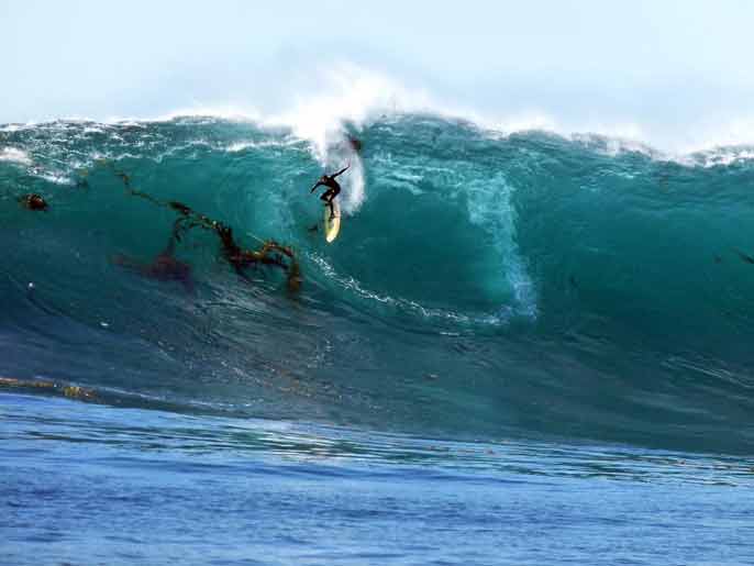 surfer surfing a big wave