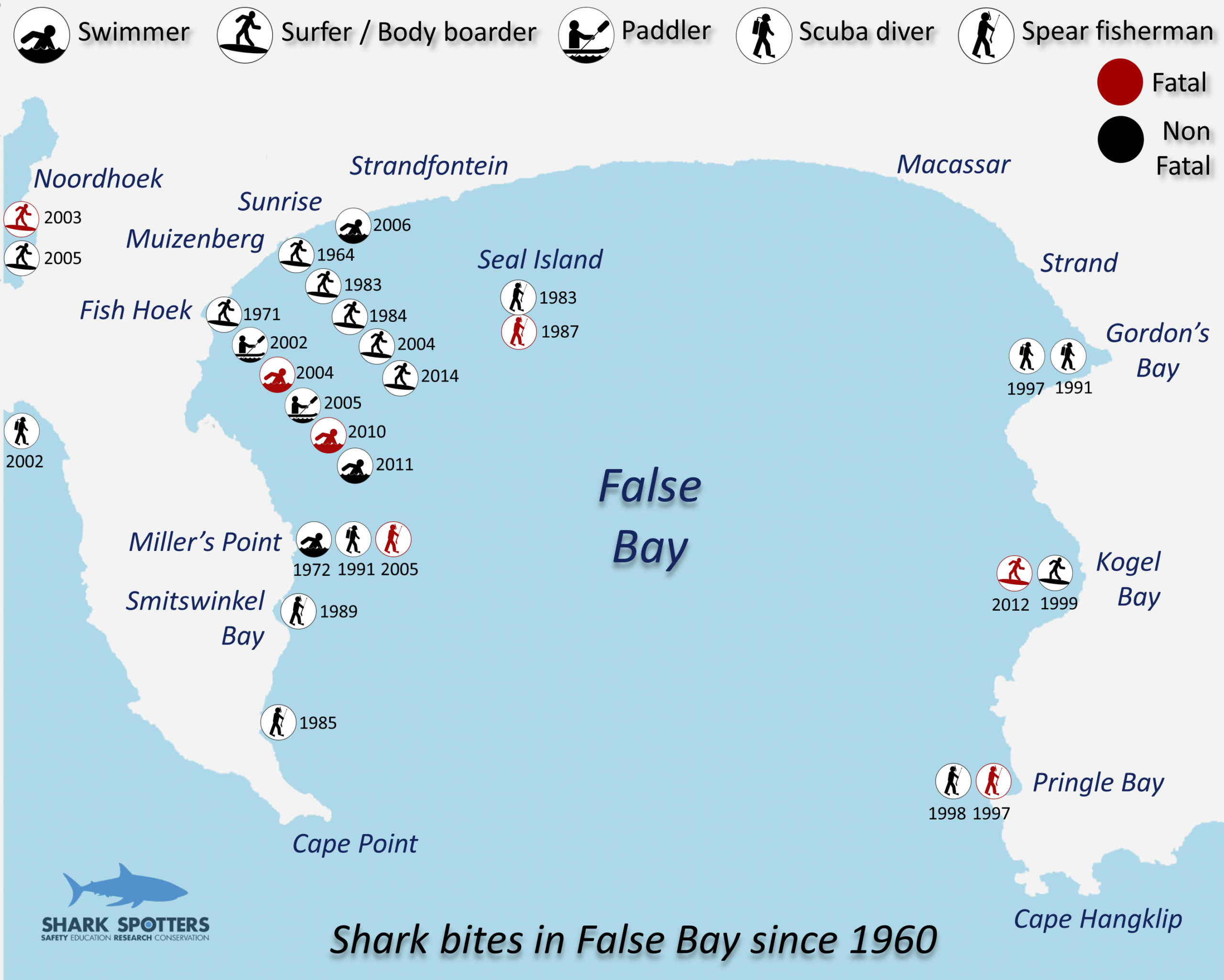 Spotted! How a surfer’s project turned the tide on shark fear – Daily Maverick